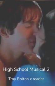 High School Musical 2: Troy Bolton x reader