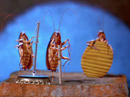Televandalist Star Wars Cantina Gif Cockroaches