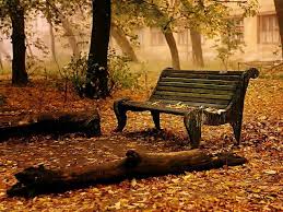 A Bench Surrounded By Fall Leaves A Place Were You Find The Utmost Peace Quiet Time Park Bench Old Benches Nature Wallpaper