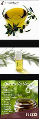 Tea Tree Oil Info Tea Tree Oil Tree Oil Tea Tree Oil Uses