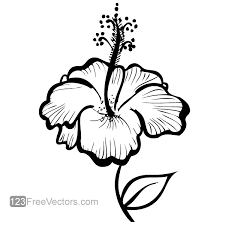 Hand Drawn Hibiscus Flower Vector Click the image to enlarge. hand drawn hibiscus flower vector