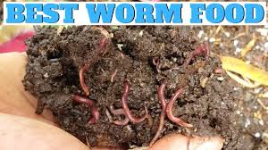 Pin On Aquaponics Hydroponics Urban Farming Aquaculture