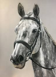 Horse face sketch at paintingvalley com explore collection of. Drawing Realistic Head Drawing Realistic Horse Novocom Top