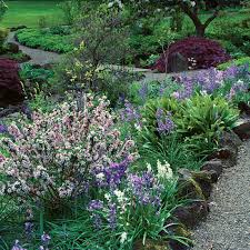 When it comes to flowering trees and shrubs, your best bet is to choose plants that bloom for the longest time possible. 10 Flowering Evergreen Shrubs Finegardening