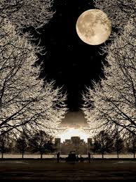 Here we have collected some beautiful wallpapers. Pin On Nature