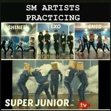 Pin By Elizabeth Carlin Thielking On Meme Or Kpop Super Junior Super Junior Funny Kpop Funny
