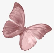 Discover free hd butterfly png images. Pink Butterfly Png Images Free Transparent Pink Butterfly Download Kindpng