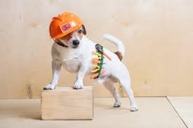 I would recommend top dog construction without reservation to anyone who has a need for construction services. Til There S A Ranking Of The Top 50 Construction Accounting Firms Going Concern