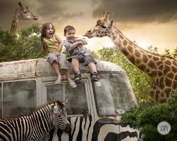 This Gallery Showcases Some Of My Favourite Story Art Images That Are Eligible To Enter Into Photographic Competitions No Stock Giraffe Animal Antics Animals