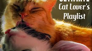 A human heart is about the size of a 1.5 baseballs. 35 Songs About Cats And The People Who Can T Live Without Them Spinditty Music