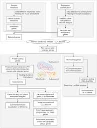 For example, consider the schematic diagram for a thermal. Pan Cancer Analysis Of Somatic Mutations And Transcriptomes Reveals Common Functional Gene Clusters Shared By Multiple Cancer Types Scientific Reports
