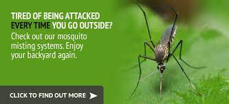 The romantic getaway on the only vineyard in town! Terminix Abc Pest Control Protecting Your Home Your Business Your Family In The Texas Hill Country