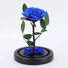 Maybe you would like to learn more about one of these? Forever Rose And Orchid Flower Preserved Immortal In Glass Jar Home Decor Home Garden