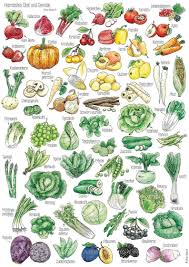 Poster A4 Saisonkalender Obst Und Gemuse Dekoration Artprint Illustration Kuche Geschenk Plakat Aquarell Vegan Weihnachten Vegetable Drawing Vegetable Decoration Watercolor Food