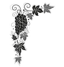 Black And White Vines Vector Wine Vine Border Vector Image On Vectorstock Wine Vine Vine Border Wine Leaves