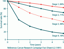 5 year survival rate brain cancer