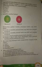 Maybe you would like to learn more about one of these? Ipa Kelas 9 Semester 1 Halaman 192 195 Brainly Co Id
