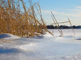 Winter On The Ct River