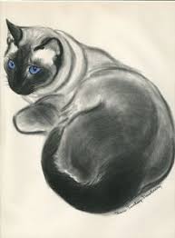 Black And White Siamese Cat Drawing 1944 Matted Large Vintage Cat Print Siamese Cat By Clare Turlay Newberry Black And White Blue Eyes Kitten Felin Cats Illustration Cat Painting Cat Illustration