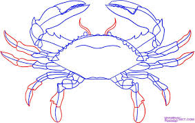 How To Draw A Blue Crab Crab Art Crab Painting Drawings