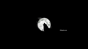 Aesthetic youtube banner 2560x1440 black. 2560x1440 Wallpaper For Youtube Channel Download