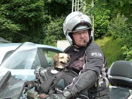 Do dogs like riding on motorcycles? He Who Rides With The Dogs Motorrad Tourenfahrer De