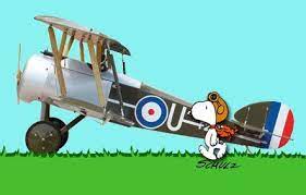 Though the sopwith camel (the official designation being sopwith biplane f.1) was designed as a replacement for the in practice, the camel proved a handful to fly, particularly with novice pilots, so much so that it earned a nasty reputation of. Pin On My Strange Addiction