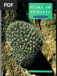 Image result for Psilotrichum sericeum