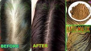 Ayurvedic treatment & herbs for hair growth Ayurvedic Hair Mask To Stop Hair Fall Boost Hair Growth Priya Malik Youtube