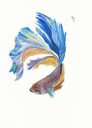 Fighting Fish Watercolor Society6 Com Inkycatstudio Fish Art Watercolor Fish Betta Fish Tattoo