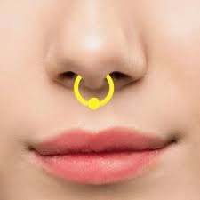 We did not find results for: Nasenschmuck Nasenpiercing Schmuck Online Shop