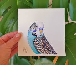 Blue Budgerigar Watercolour Painting Cute Budgie Portrait Original Bird Art Parakeet Lover Gift 5 8 X 5 8 Inches Bird Art Bird Prints Bird Drawings