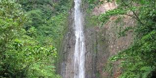 El salvador grenada guadeloupe honduras karibische niederlande mexiko panama peru venezuela. Nationalpark Guadeloupe Tourismus In Nationalpark Tripadvisor
