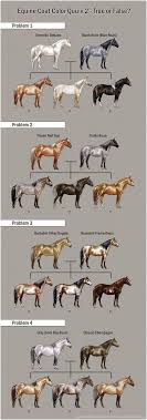 Deviantart More Like Chestnut Color Genetics Chart By