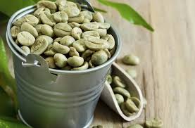 Biji kopi hijau kaya akan antioksidan, dimana yang berguna untuk mengurangi efek kerusakan sel akibat dari radikal bebas dalam tubuh kita. Apa Kelebihan Alana Kopi Hijau Iafoodhunter