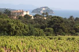 La propriété vend la moitié de ses 200 000 bouteilles annuelles au caveau. Chateau De Bregancon La Route Des Vins De Provence