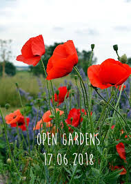 Hof 9 Open Gardens Gartenkunst Offene Garten Garten