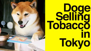 In the last 24 hours shib price is up 2.02 %. Doge Selling Tobacco In Tokyo Shiba Inu Youtube