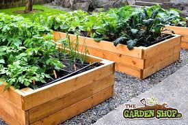 How to position garden beds. Raised Beds Where To Position Howtogarden Ie