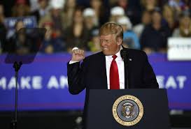 Image result for trump washington michigan rally