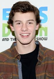 Check spelling or type a new query. Shawn Mendes Net Worth Celebrity Sizes
