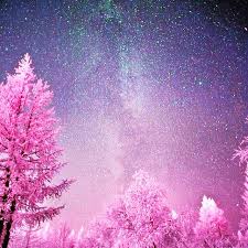  Follow My New Instagram Page Pinknsparkly Pemandangan Langit Malam Langit