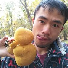 First time seeing such biggggggg chubbbbbbbbby, big laughing gym (mushroom)  in the forest. In China we call it "laughing mushroom". It is psychoactive  and poisonous. I did not eat it but I