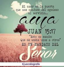 Resultado De Imagen De Servir A Los Demas Frases Flirting Quotes For Him Flirting Quotes Card Sayings