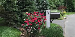 Why not combine two great ideas? How To Install A Granite Post For A Mailbox Or Lighting
