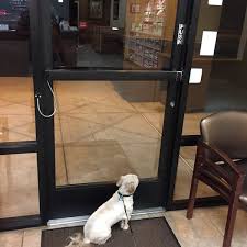 At valley veterinary hospital, everyone is considered a leader and an integral member of the health care delivery team. 1st Pet Veterinary Centers North Valley Phoenix Az