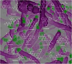 Protease inhibitors are not a cure for hiv. 14 Existing Drugs Identified As Sars Cov 2 Main Protease Inhibitors