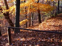 2,085 likes · 8 talking about this · 72 were here. Chestnut Ridge Trail Roanoke Va 24014