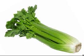 Clipart Celery Stalk Free Images At Clker Com Vector Clip Art Online Royalty Free Public Domain
