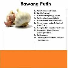 Konsumsi Bawang Putih Sebelum Tidur Dan Rasakan Manfaat Dahsyat Ini Youtube Bawang Putih Obat Alami Bawang